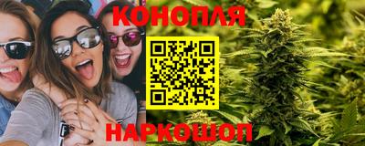 ГАЛЛЮЦИНОГЕННЫЕ ГРИБЫ Будённовск