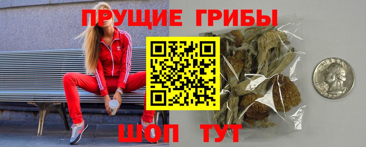 Галлюциногенные грибы ЛСД  Псилоцибиновые грибы Magic Shrooms  Вход с VPN  Соль-Илецк 